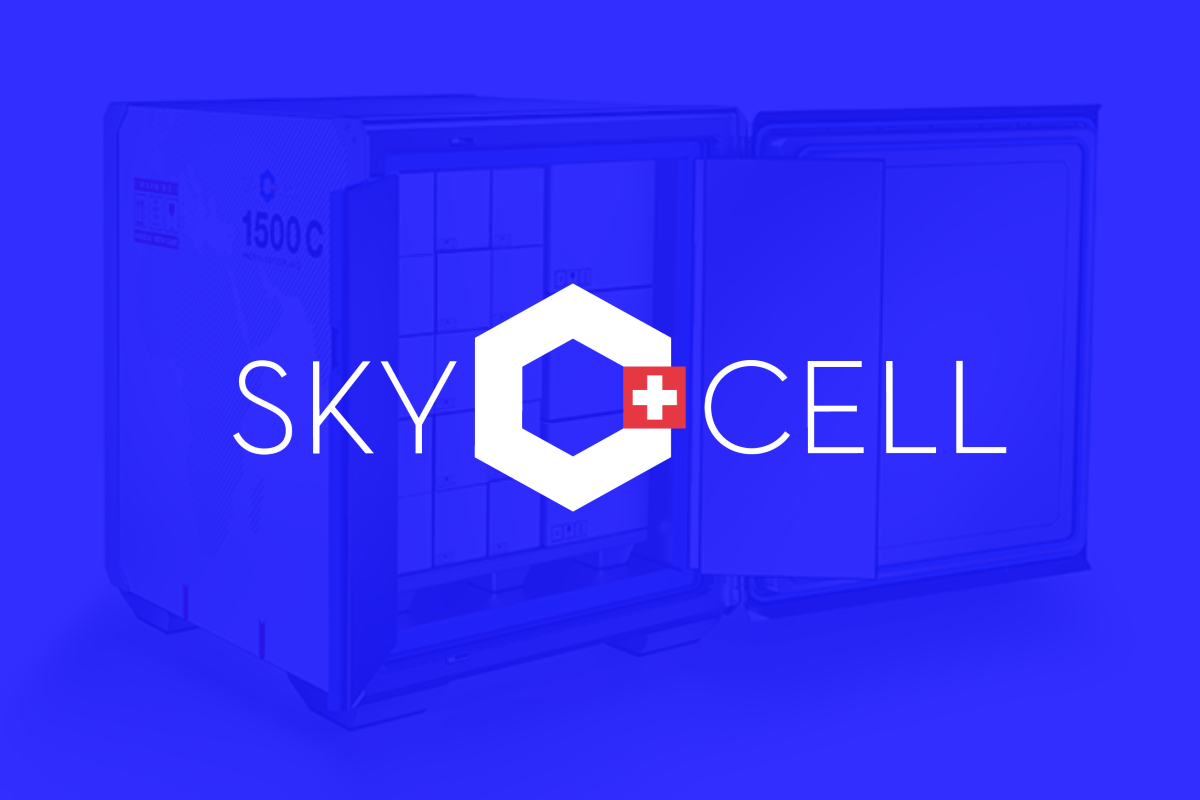 SkyCell expenses case study